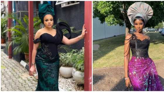 Asoebi fashion: 6 beautiful ladies command attention in classy ensembles