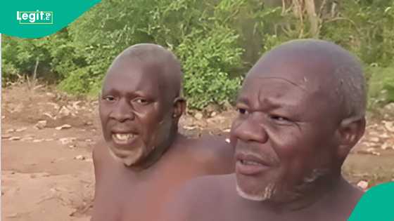 'Yan bindiga sun sace tsohon shugaban APC, sun masa bidiyo yana neman agaji