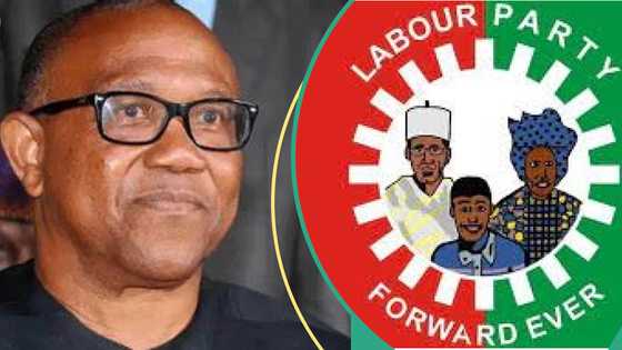 2027 election: Labour Party, Obidients react to Peter Obi defection reports