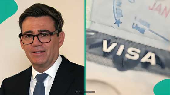 Full list: Activities foreigners employed overseas can do in UK on Standard Visitor visa