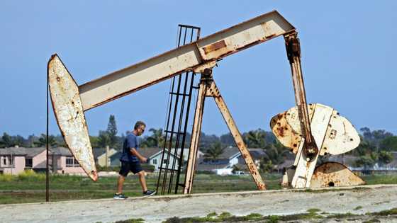 Stocks struggle on US rates, tech rally fears