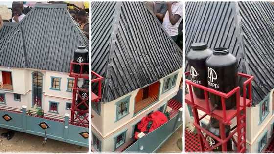 "He is a genius": Nigerian boy constructs prototype of mansion that looks like real house, video goes viral