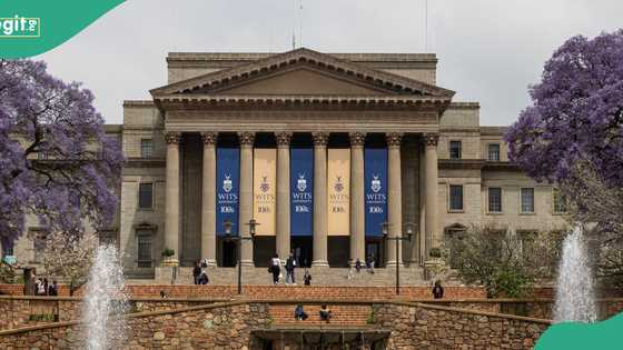 Webometrics Ranking: Top 10 universities in Africa named as Nigerian varsities miss out