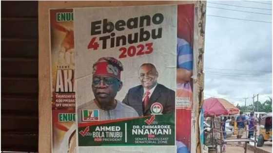 2023 presidency: Campaign photo of PDP senator with Tinubu surfaces online