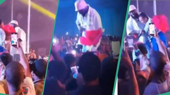 “Make she go do pregnancy test”: Davido hugs lady who gave him flower at Asaba concert, video trends
