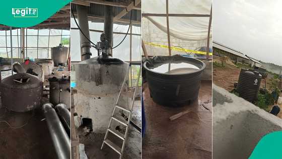 NDLEA uncovers biggest ever illegal meth factory in Nigeria; details, location emerge