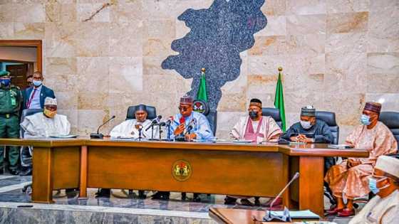 Aabubuwa 13 da Gwamnonin Arewa maso Gabas suka tattauna a taron jiya - Zalum