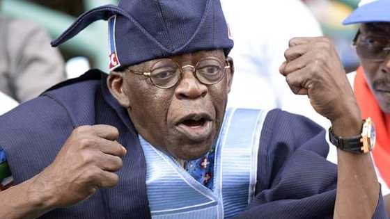 Tinubu says Buhari would not have been president without his support