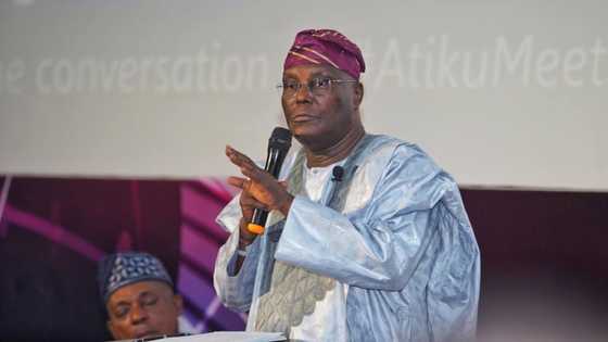 Jajiberin zabe: Wani shiri da Atiku ya kulla da jam'iyyu 5 ya samu matsala