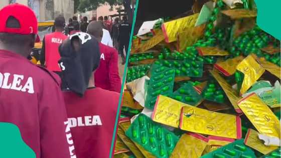 Kano: Jami'an NDLEA sun cafke matashi da tramadol 7,000 daga Legas