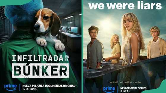 What's new on Amazon Prime Video in June 2025? New movies and shows to watch