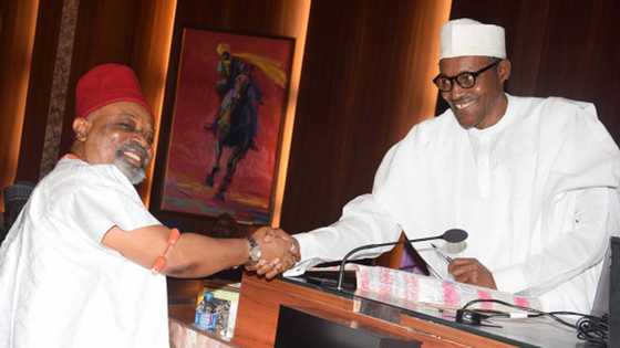 Insecurity: Chris Ngige reveals those responsible for violence in southeast region