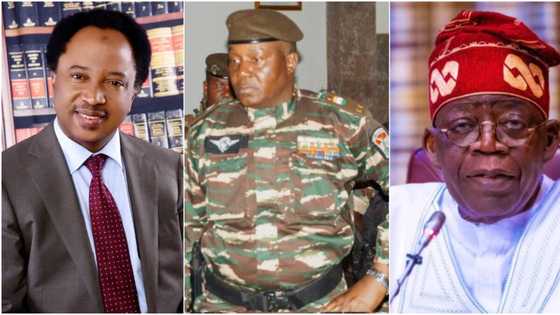 “Do not drag us to war”, Shehu Sani faults ECOWAS military power, sends words to President Tinubu, others