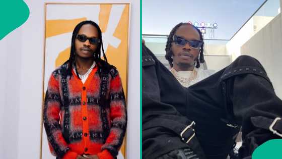 “Who said no more Marlians?” Naira Marley blasts critics dragging others for listening to his songs