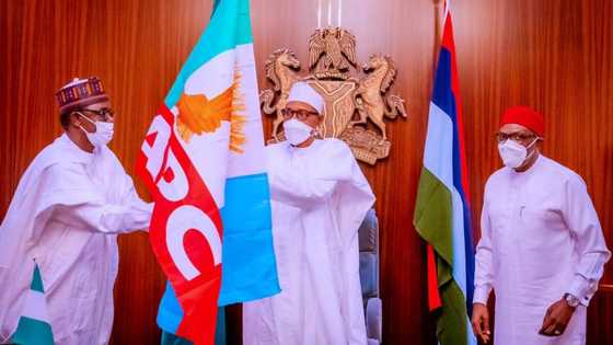 Yari, Modu Sheriff, Al-Makura da jerin mutum 10 masu harin shugabancin APC a zaben 2022