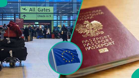 Schengen visa fee: EU lists 4 categories of people fully exempted from paying