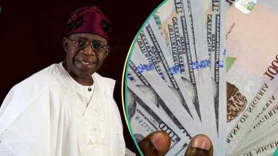 Nigeria seeks $1.5bn loan from World Bank to ease dollar shortage as naira falls to its lowest