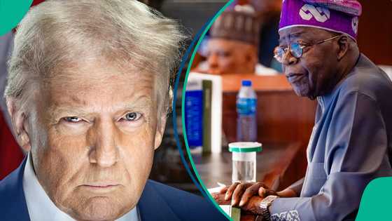 Trump's airstrike in Nigeria: Tinubu's minister gives more updates, "I spoke with US for 19 minutes"