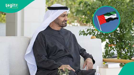 UAE announces daily fine foreigners must pay for overstaying visas, amount in naira