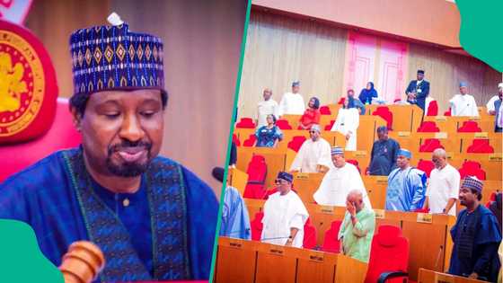 Zancen kisan Hausawa a Edo ya dawo sabo, Sanata Barau ya yi magana a majalisa