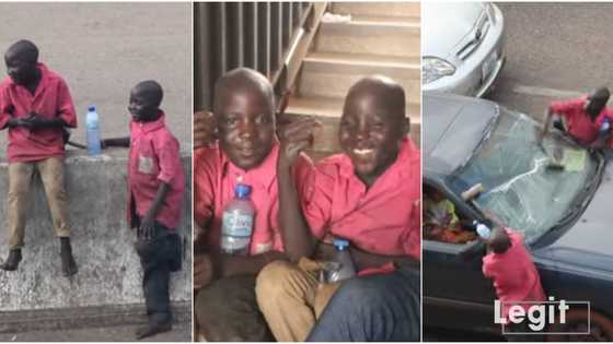 Nigerian twin hustlers in Benin whose father sells suya in Kano say they want to go to school