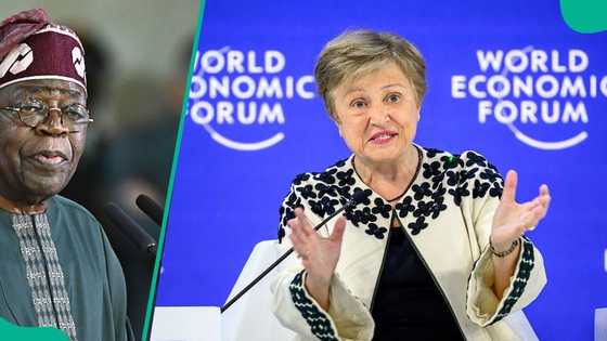 IMF predicts new position for Nigeria among Africa’s biggest economies in 2026