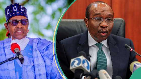 Buhari explains why he didn’t sack Godwin Emefiele as CBN governor