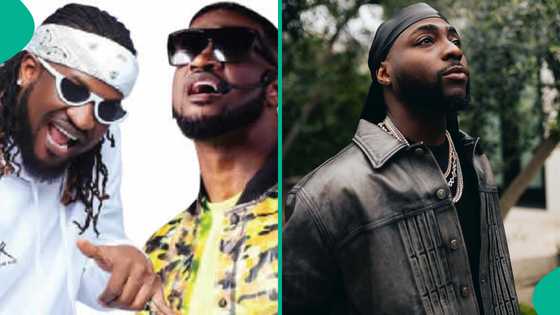 Peter PSquare asked to save one among Davido, Wizkid & brother Rudeboy, response triggers reactions