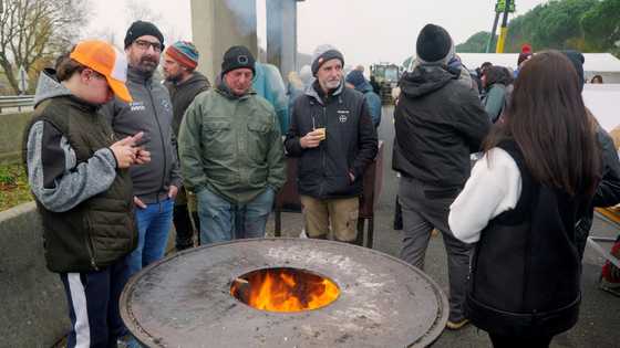 French PM urged to intervene over cow slaughter protests