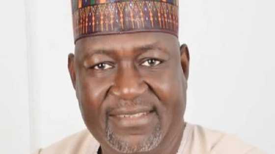 Babu shakka Buhari da 'yan Najeriya za su yi farin ciki da mu, Sabon Ministan lantarki