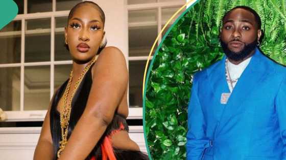 Davido professes admiration for Tems' new song, netizens drag him: "The hustle for Grammy"