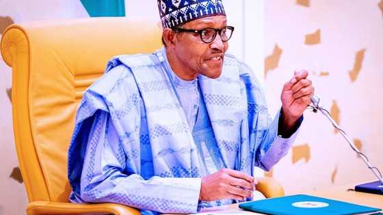 Breaking: President Buhari's London trip postponed - Presidency