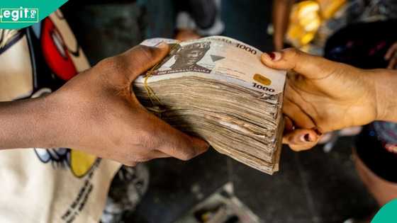 Foundation to share N20,000 to 10,000 residents, names beneficiaries, distribution method