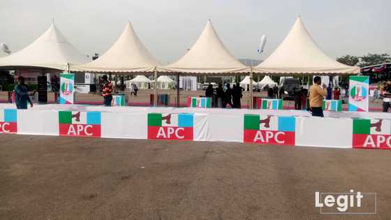 Full list: Names of APC senatorial candidates submitted to INEC