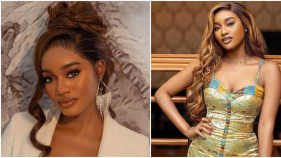 “I am striving to forgive myself”: BBN’s Beauty goes emotional as she tenders sincere apology again
