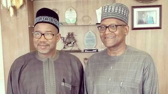 Gwamnan Bauchi: Dangote ya fahimci 'yan Najeriya fiye da yawancin 'yan siyasa