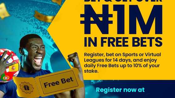 BetKing's Euro 2024 Campaign Offers Up to N1Million New Customer Offer & Special odds Boosts
