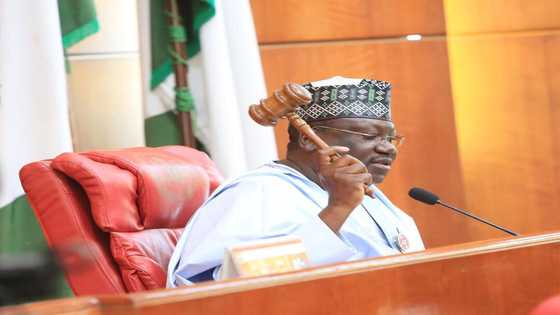 Yanzu: Majalisar dattijai ta ba Buhari wa'adin wata biyu ya gabatar da kasafin 2021