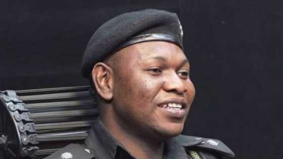 'Yan Daba Sun Afka Wa Manyan APC, Sun Barnata Kayayyaki Na Miliyoyi, Bayanai Sun Fito