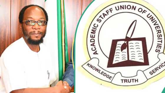 Lecturers pull out of ASUU strike, hail Tinubu’s government efforts