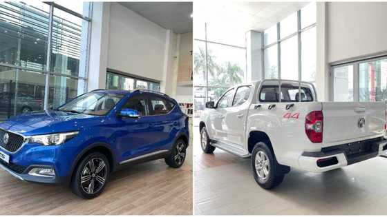 Stallion Group Acquires MG Motor’s Franchise