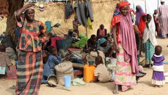 Daruruwan mazauna kauyukan Borno sun koma gida baya gigita su da Boko Haram tayi a jajiberin Kirsimeti