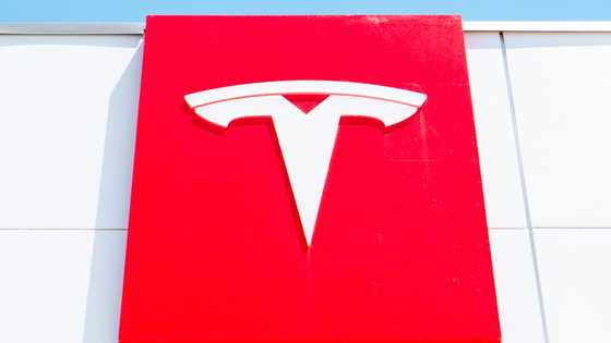 Tesla car sales lifted by end of US electric auto tax credit