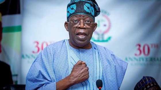 'He's not a greedy person who is out to accumulate wealth,' top APC chieftain eulogises Tinubu