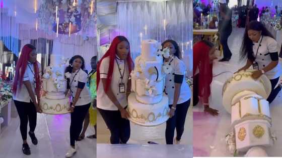 "My heart cut": Event planners prank bride and guests as cake 'falls' during reception, video goes viral