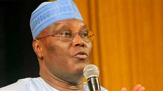 Zaben 2023: A Shirye Na Ka In Yi Aiki Tare Da Peter Obi Da Kwankwaso, Atiku