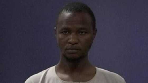 Dan Kwakwasiya ne ya kirkiro labarin auren Buhari da Sadiya - DSS