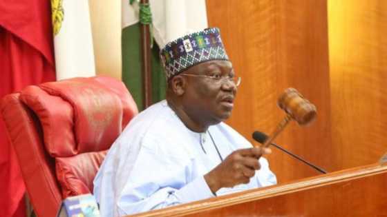 Big trouble begins as Senate threatens arrest warrant on Buhari's major appointees