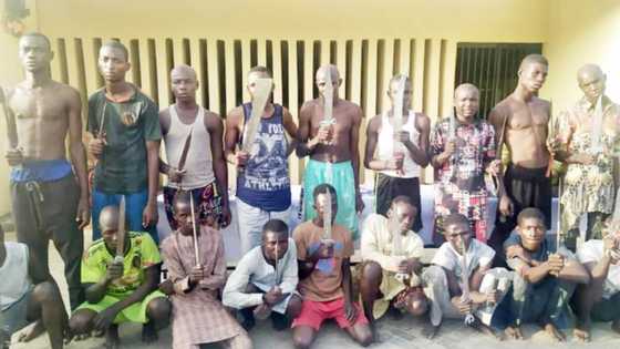 Kano: Hotunan bata gari 59 da aka kama kan zargin fashi, safarar miyagun ƙwayoyi da makaman da aka ƙwato hannunsu