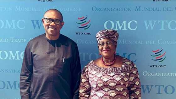 2023: Photo, details emerge as Okonjo-Iweala receives Peter Obi at WTO headquarters